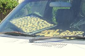 dehydrating in car